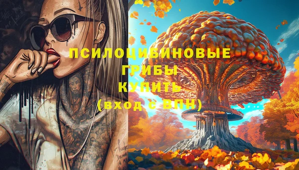 сатива Алексеевка